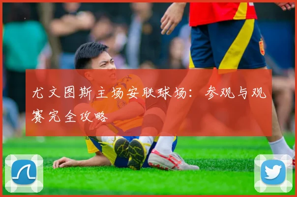 尤文图斯主场安联球场：参观与观赛完全攻略